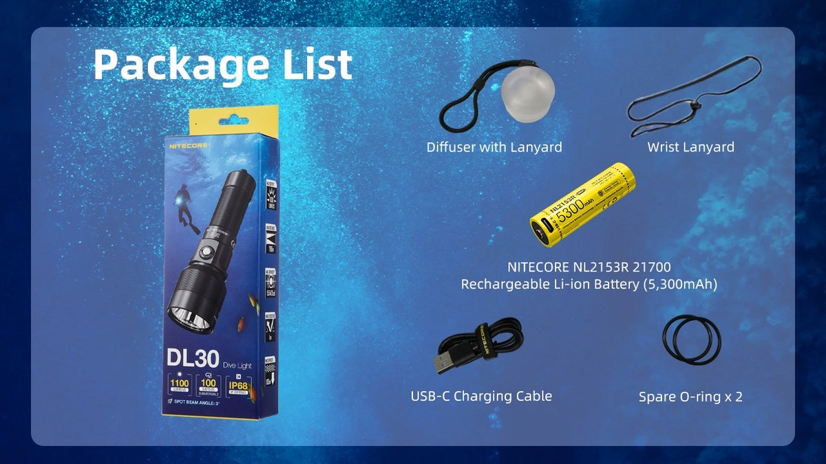 Nitecore DL30 1100 Lumen Rechargeable Dive Light DL30