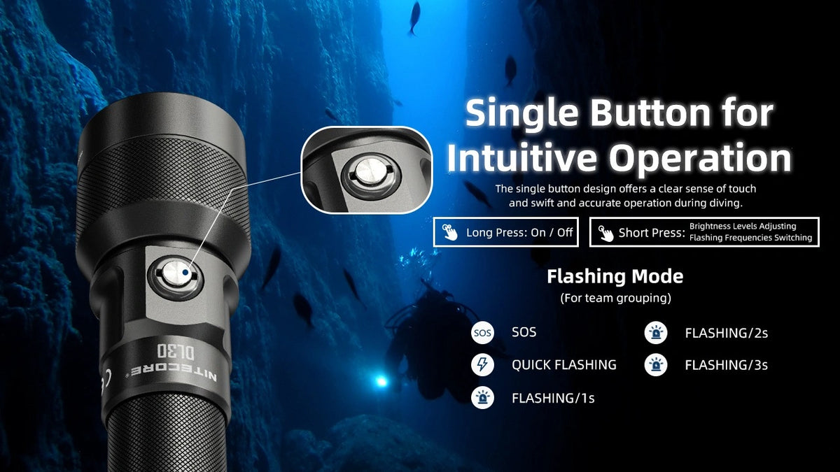 Nitecore DL30 1100 Lumen Rechargeable Dive Light DL30
